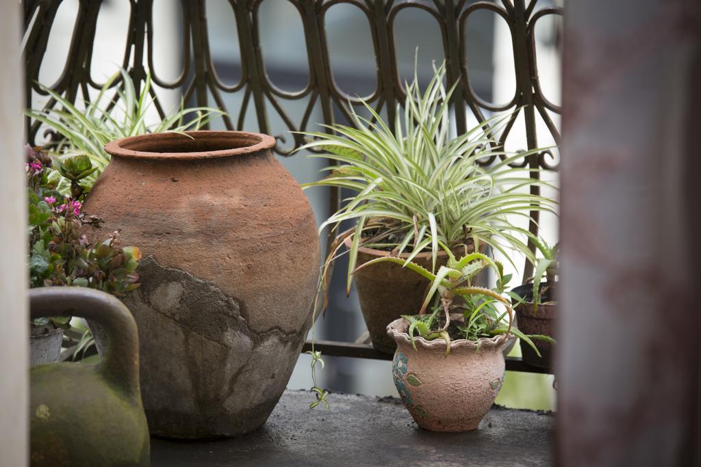 Guesthouse Medea On Pushkini 4 คูทายสิ ภายนอก รูปภาพ